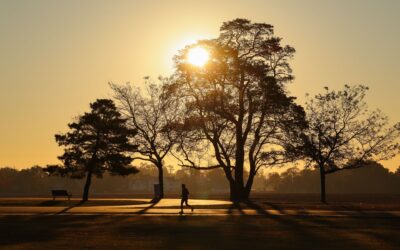 Work-Life Balance Is the Wrong Goal. Here Is What to Aim for Instead.